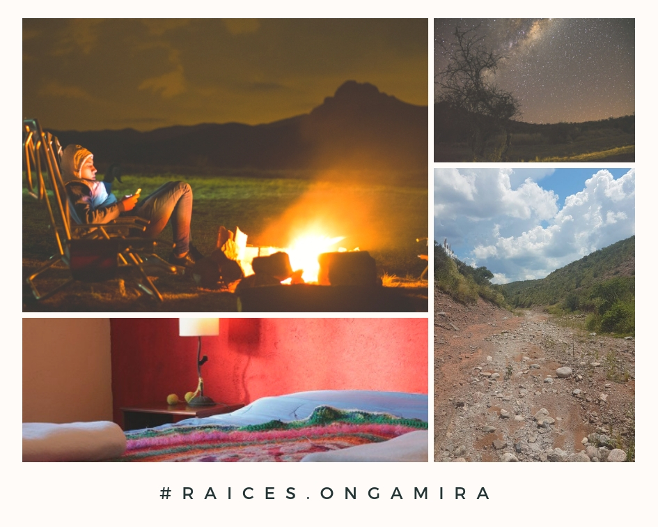 raices.ongamira-1.jpg